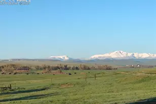 6597 S Hwy 83, Franktown, CO 80116 - Photo 13