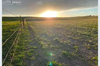 6597 S Highway 83, Franktown, CO 80116 - Photo 7