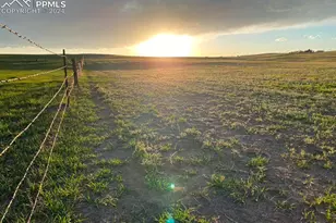 6597 S Hwy 83, Franktown, CO 80116 - Photo 7