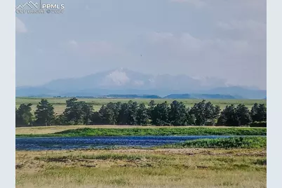 6597 S Highway 83, Franktown, CO 80116 - Photo 37