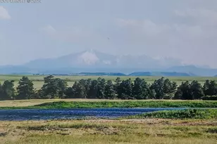 6597 S Hwy 83, Franktown, CO 80116 - Photo 37