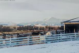 6597 S Hwy 83, Franktown, CO 80116 - Photo 39