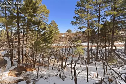 5960 Buttermere Drive, Colorado Springs, CO 80906 - Photo 19