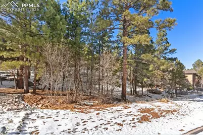 5960 Buttermere Drive, Colorado Springs, CO 80906 - Photo 23