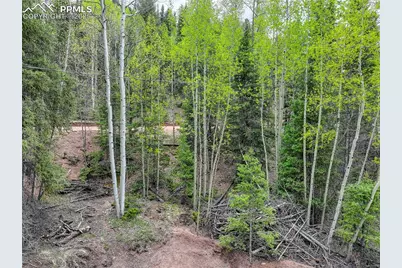 416 Willow Road, Divide, CO 80814 - Photo 7