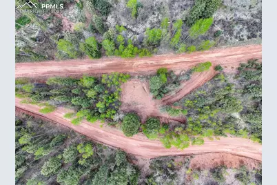 416 Willow Road, Divide, CO 80814 - Photo 3