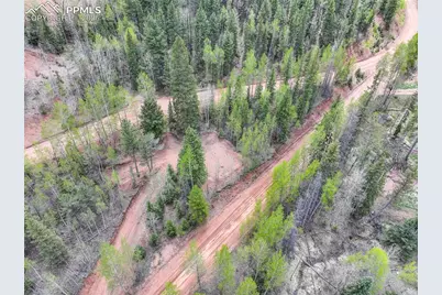 416 Willow Road, Divide, CO 80814 - Photo 5