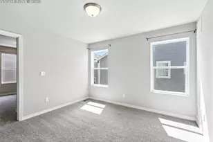 6222 Barr Pt, Colorado Springs, CO 80924 - Photo 33