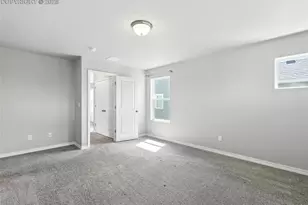 6222 Barr Pt, Colorado Springs, CO 80924 - Photo 17