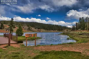 996 Spring Valley Dr, Divide, CO 80814 - Photo 41