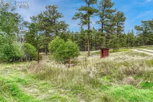 10625 Milam Rd, Colorado Springs, CO 80908 - Photo 7