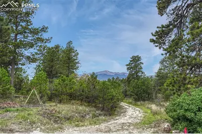 10625 Milam Road, Colorado Springs, CO 80908 - Photo 5