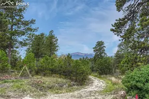 10625 Milam Rd, Colorado Springs, CO 80908 - Photo 5