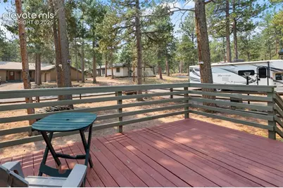723 Pine Street, Woodland Park, CO 80863 - Photo 43