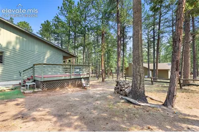 723 Pine Street, Woodland Park, CO 80863 - Photo 45
