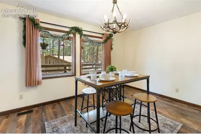 723 Pine Street, Woodland Park, CO 80863 - Photo 17