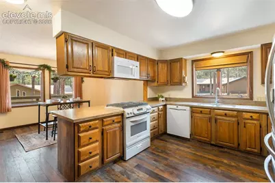 723 Pine Street, Woodland Park, CO 80863 - Photo 21