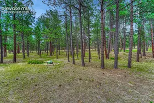 14225 Ponderosa Rd, Colorado Springs, CO 80908 - Photo 19