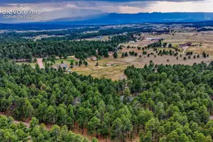 14225 Ponderosa Rd, Colorado Springs, CO 80908 - Photo 49