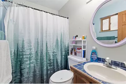 799 Canyon Drive, Guffey, CO 80820 - Photo 11