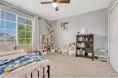 7357 Brush Hollow Drive, Fountain, CO 80817 - Photo 23