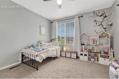 7357 Brush Hollow Drive, Fountain, CO 80817 - Photo 21