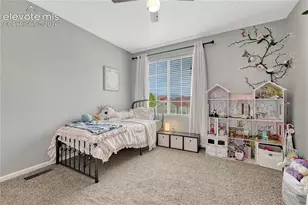 7357 Brush Hollow Dr, Fountain, CO 80817 - Photo 21