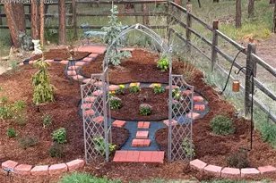 20320 Roaming Dr, Colorado Springs, CO 80908 - Photo 41