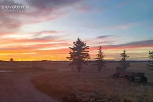 12835 Forest Green Dr, Elbert, CO 80106 - Photo 45