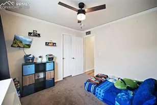 6973 Red Cardinal Loop, Colorado Springs, CO 80908 - Photo 21