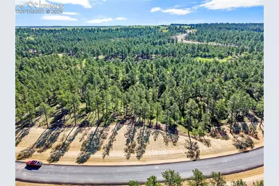 14531 Quartz Creek Drive, Colorado Springs, CO 80908 - Photo 3