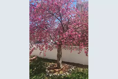 2244 Saint Paul Drive, Colorado Springs, CO 80910 - Photo 31