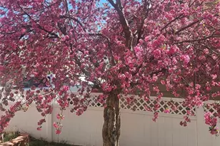 2244 St Paul Dr, Colorado Springs, CO 80910 - Photo 31