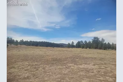 2450 Antelope Lane, Guffey, CO 80820 - Photo 3