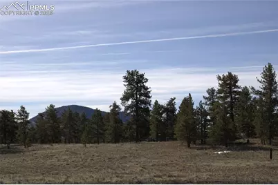 2450 Antelope Lane, Guffey, CO 80820 - Photo 7