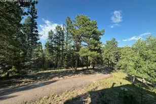 523 Spruce Lake Dr, Divide, CO 80814 - Photo 19