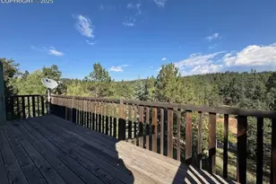 523 Spruce Lake Dr, Divide, CO 80814 - Photo 17