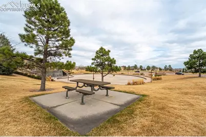 5849 Brave Eagle Drive, Colorado Springs, CO 80924 - Photo 49