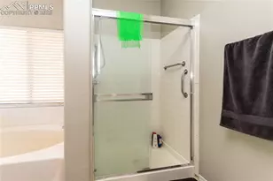 803 Ridgebury Pl, Fountain, CO 80817 - Photo 29