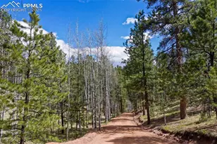 185 Wildcat Creek Dr, Florissant, CO 80816 - Photo 41