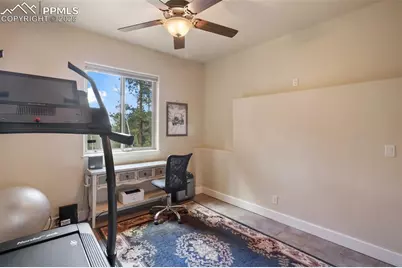 185 Wildcat Creek Drive, Florissant, CO 80816 - Photo 25