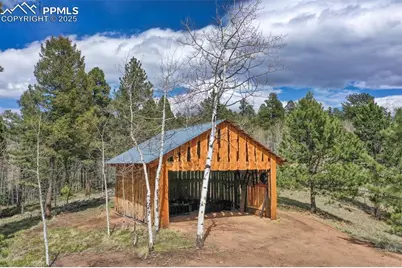 185 Wildcat Creek Drive, Florissant, CO 80816 - Photo 43
