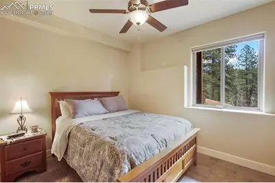 185 Wildcat Creek Drive, Florissant, CO 80816 - Photo 21