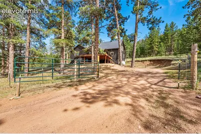 986 Apache Road, Florissant, CO 80816 - Photo 43