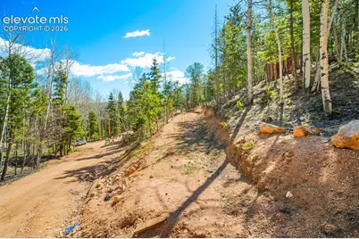 413 Wakanda Trail, Woodland Park, CO 80863 - Photo 3