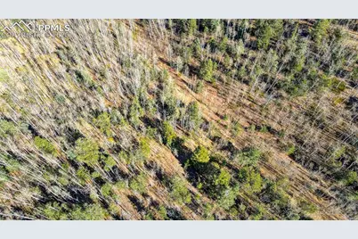 1343 Golden Cycle Circle, Cripple Creek, CO 80813 - Photo 29