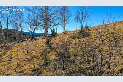 1343 Golden Cycle Circle, Cripple Creek, CO 80813 - Photo 3