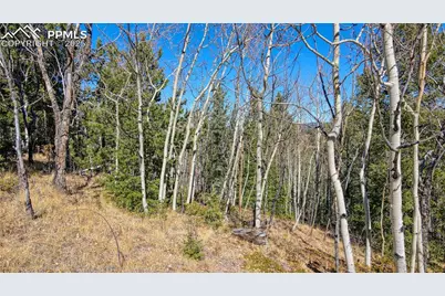 1343 Golden Cycle Circle, Cripple Creek, CO 80813 - Photo 39