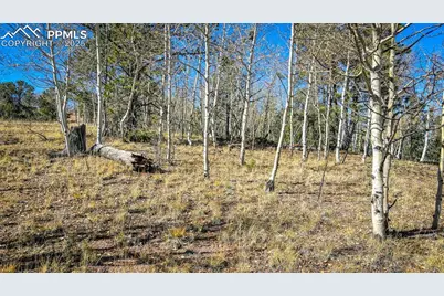 1343 Golden Cycle Circle, Cripple Creek, CO 80813 - Photo 5