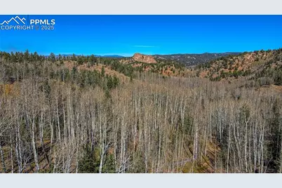 1343 Golden Cycle Circle, Cripple Creek, CO 80813 - Photo 15